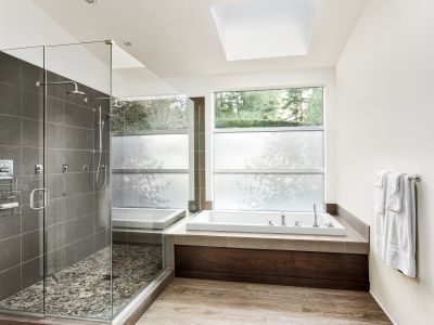 Modern Shower with Glass Enclosure