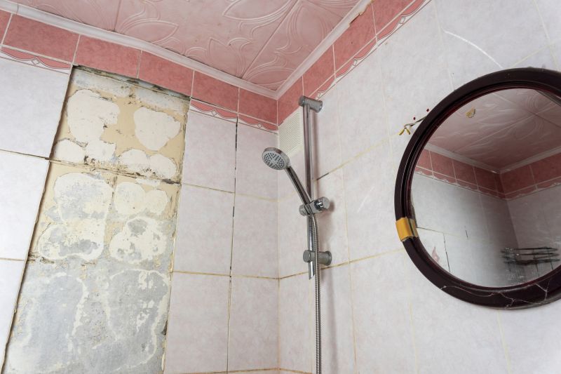 Top Shower Remodeling Companies in Peoria, AZ